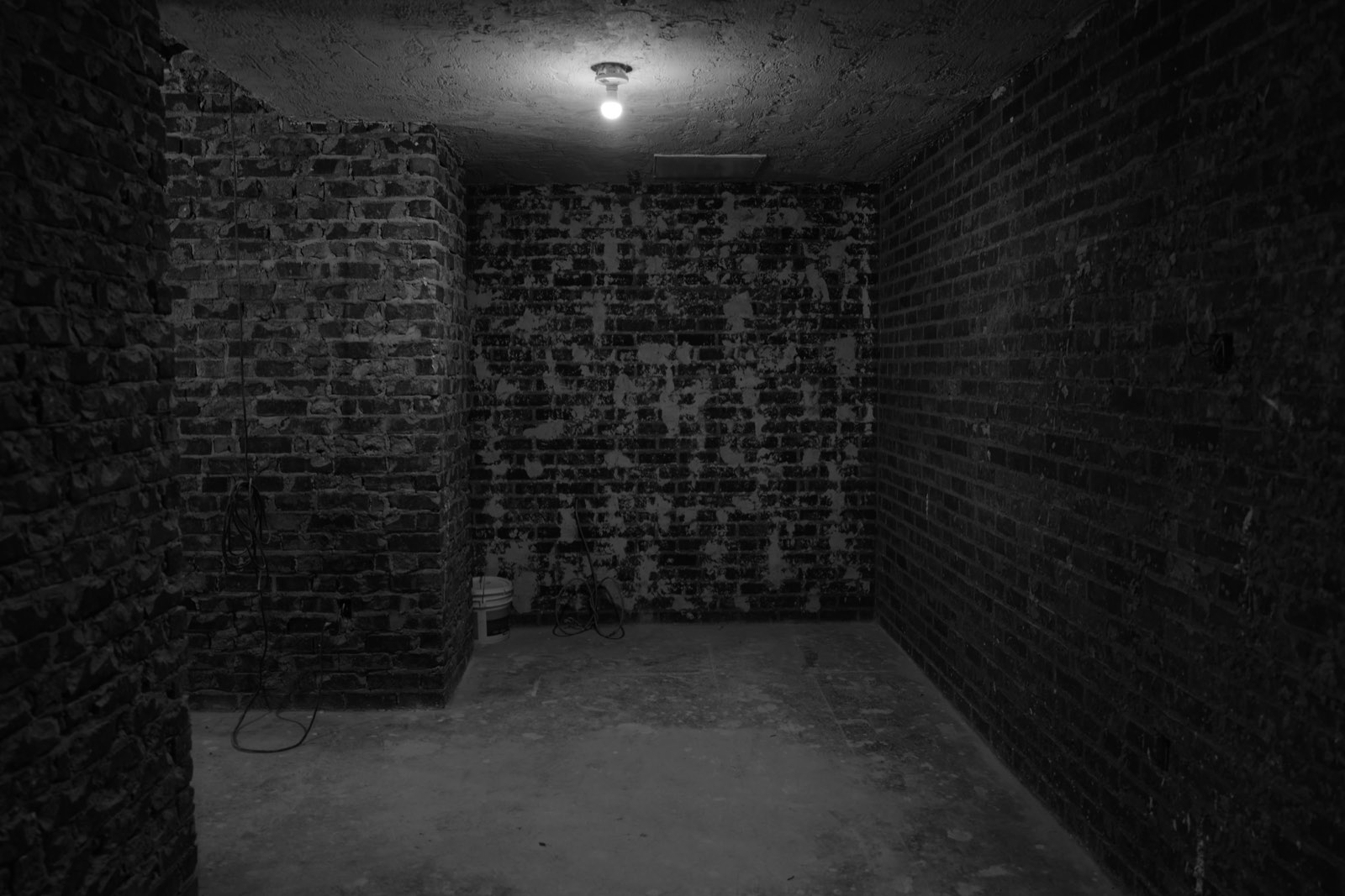 The brick cellar beneath the dining room, lit by a single bulb