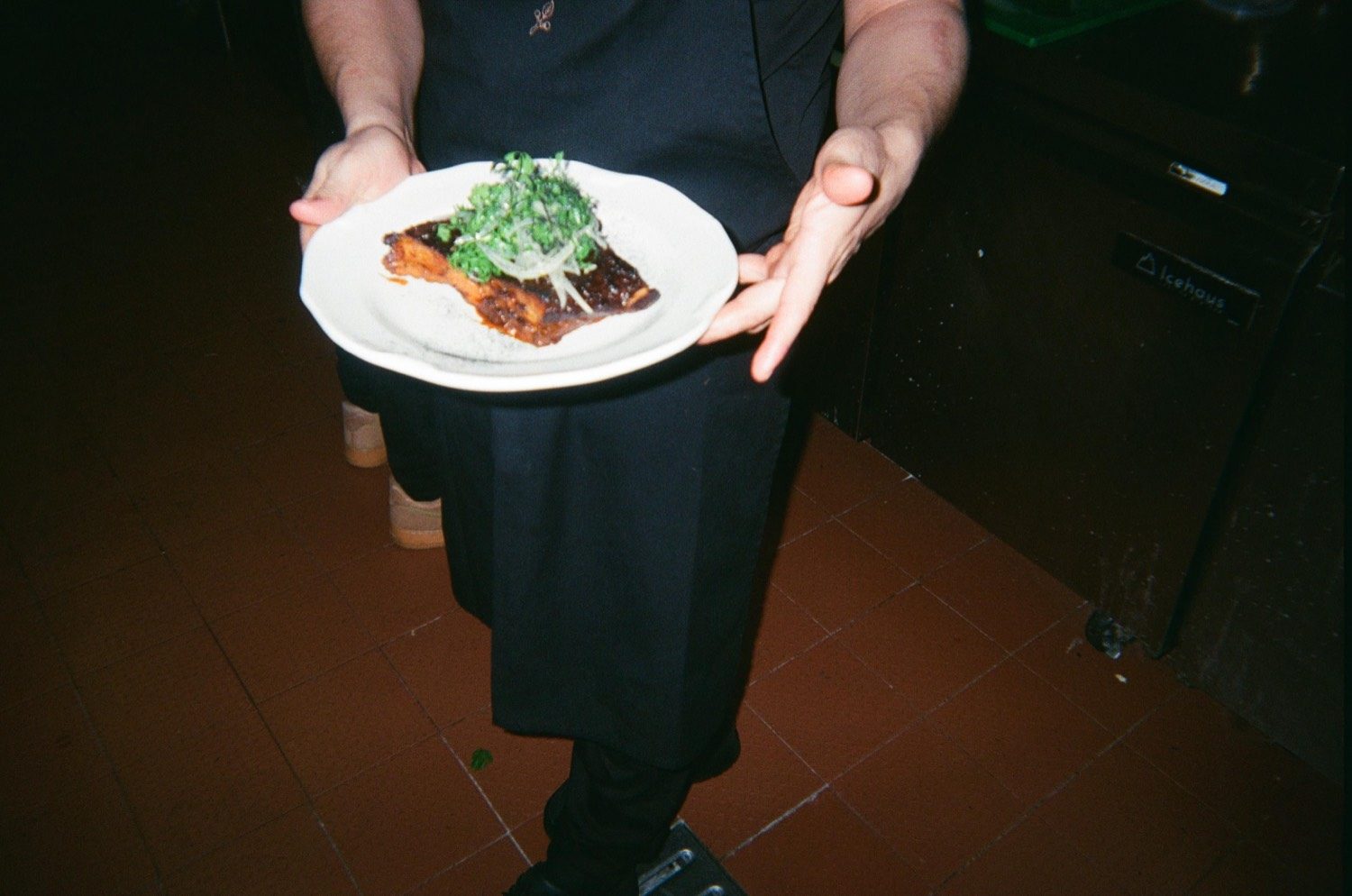 Un plato terminado sostenido con las dos manos, coronado con cebolla y cilantro